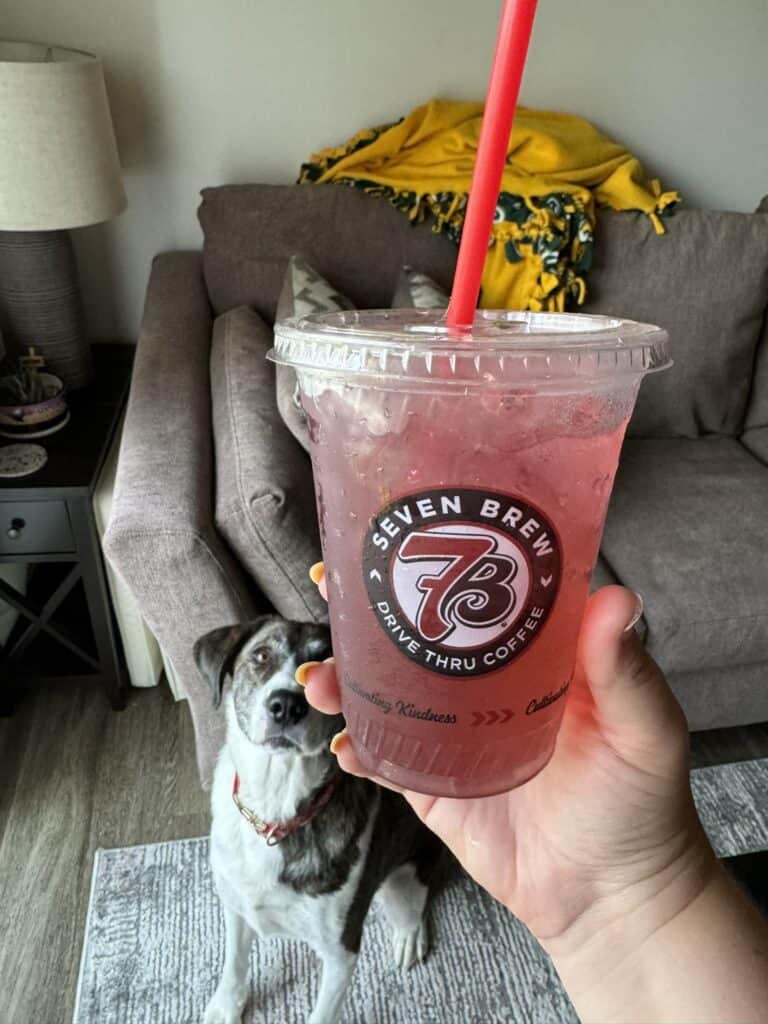 fruit rollup lemonade